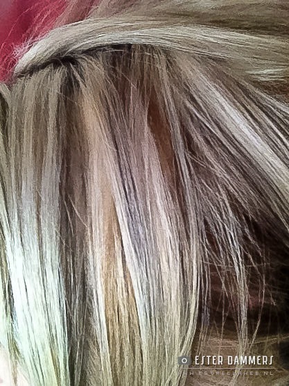 Donkere plukjes in blond haar