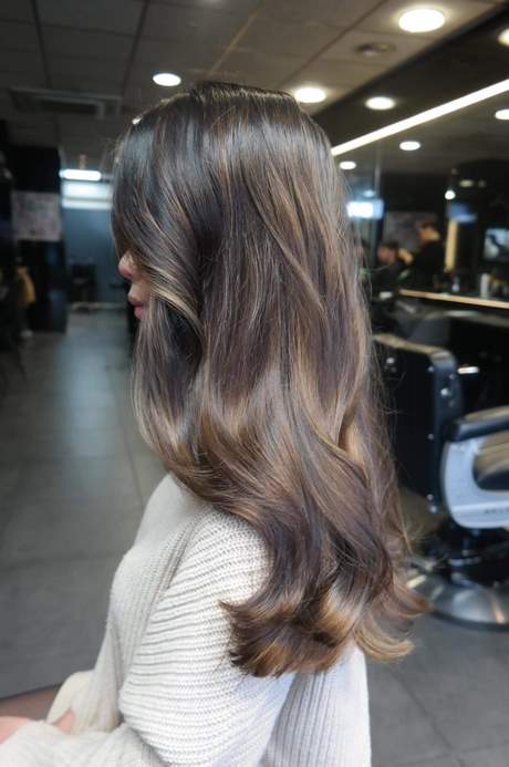 Balayage kort haar bruin